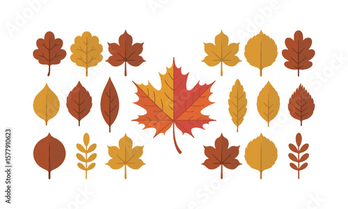 Scalable vector illustration featuring various types of leaves with color and silhouette, a set of colorful autumn leaves, easily editable.