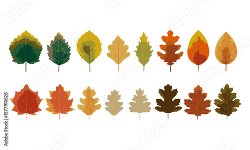 Scalable vector illustration featuring various types of leaves with color and silhouette, a set of colorful autumn leaves, easily editable.