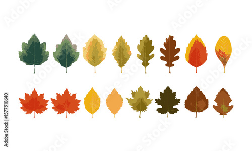Scalable vector illustration featuring various types of leaves with color and silhouette, a set of colorful autumn leaves, easily editable.