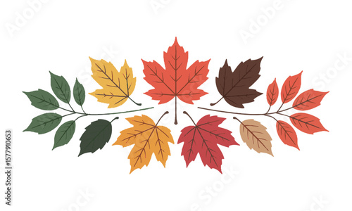 Scalable vector illustration featuring various types of leaves with color and silhouette, a set of colorful autumn leaves, easily editable.