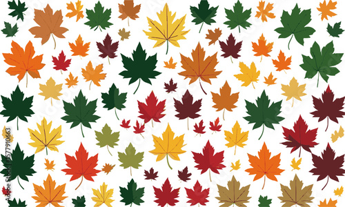 Scalable vector illustration featuring various types of leaves with color and silhouette, a set of colorful autumn leaves, easily editable.
