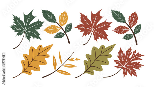 Scalable vector illustration featuring various types of leaves with color and silhouette, a set of colorful autumn leaves, easily editable.