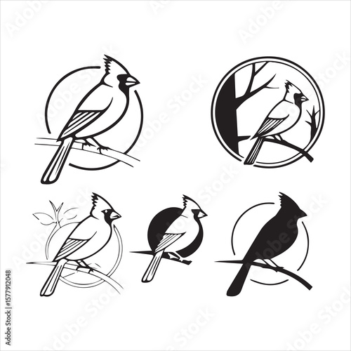 northern cardinal icon silhouette vector
