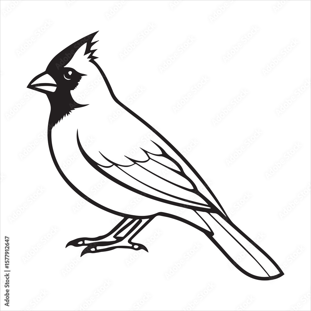 Obraz premium northern cardinal icon silhouette vector