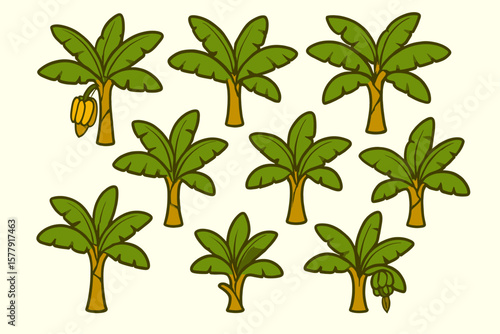 Collection of Banana Trees in a Tropical Setting