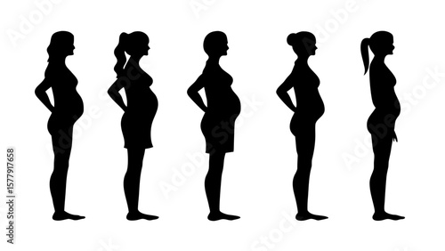 Pregnant Woman Silhouette PNG Set – Stages of Pregnancy Clipart with Transparent Background