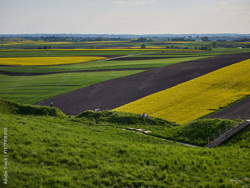 Naklejka premium Ponidzie - Polska toskania. Wiosna na polach, rzepak. Kolorowe pola - szachownica.