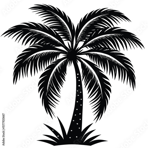palm-tree-silhouette-.eps