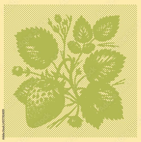  Vibrant color engraving green strawberry with leaf design, canvas template, stamp halftone vector illustration, fresh fruit art, detailed line work, decorative botanical graphic