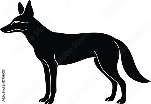 jackal, coyote silhouette vector