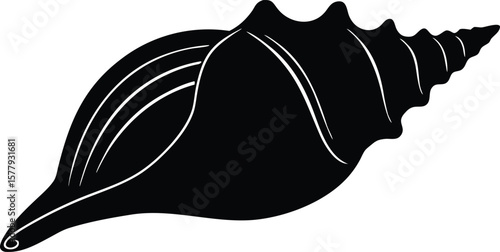 conch isolated silhouette vector