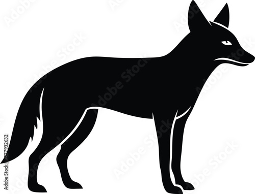 jackal, coyote isolated vector