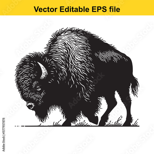 A detailed illustration of a bison standing in a grassy field, isolated on white background