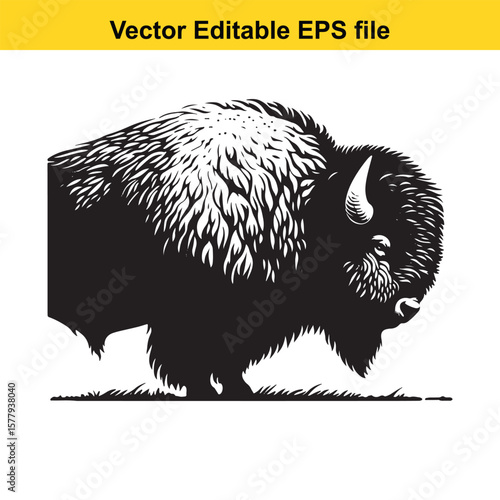 A bison standing in a grassy field, isolated on white background