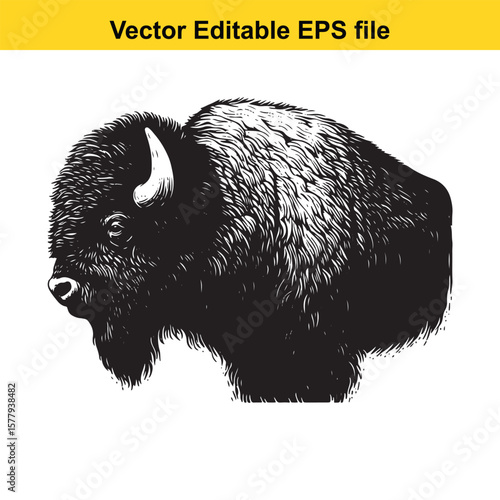 A bison standing in a grassy field, isolated on white background