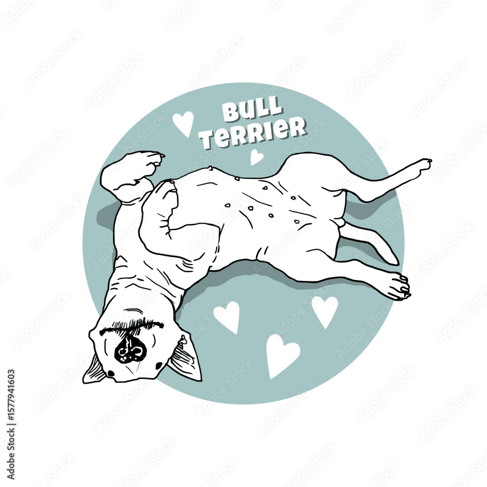 Obraz premium Cute white Bull Terrier lying on a blue-gray circle with hearts. Playful minimal vector illustration with subtle shadow, perfect for dog lovers and pet-themed designs