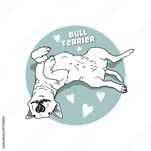Cute white Bull Terrier lying on a blue-gray circle with hearts. Playful minimal vector illustration with subtle shadow, perfect for dog lovers and pet-themed designs