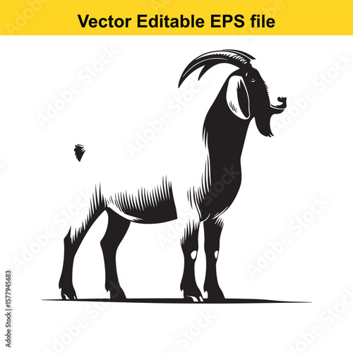 A horned goat with a beard, Silhouette,  isolated on white background