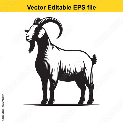 A horned goat with a beard, Silhouette,  isolated on white background