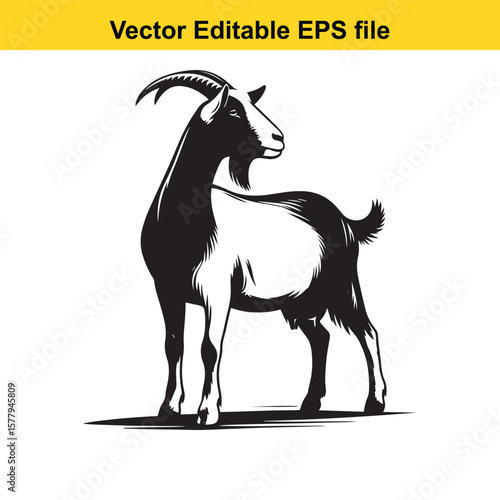 A horned goat with a beard, Silhouette,  isolated on white background