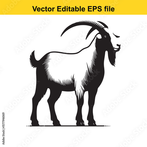 A horned goat with a beard, Silhouette,  isolated on white background