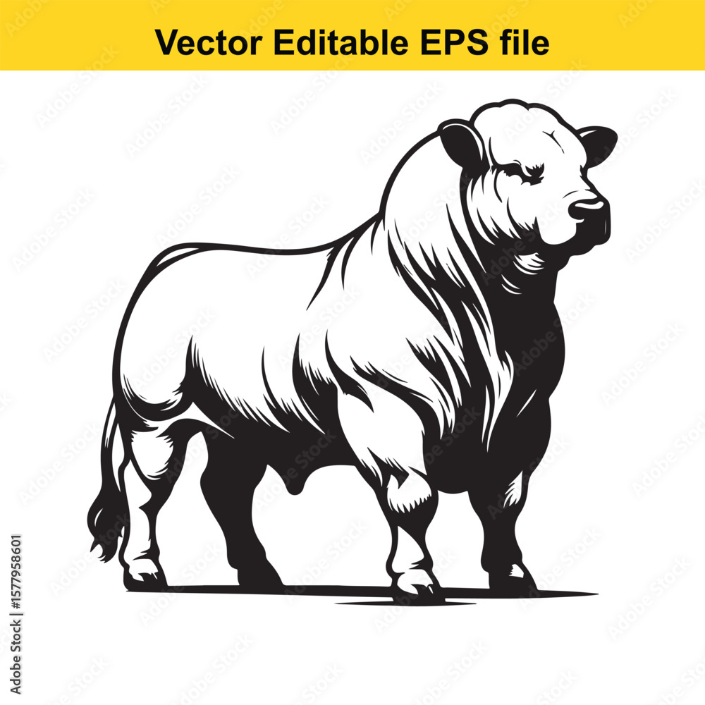 Obraz premium A powerful bull charges forward with aggressive intent