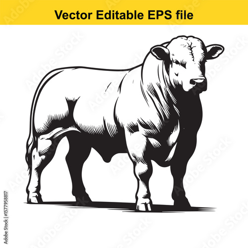 Powerful hand-Drawing bull isolated on white background