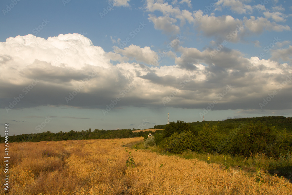 Obraz premium A field with trees and clouds