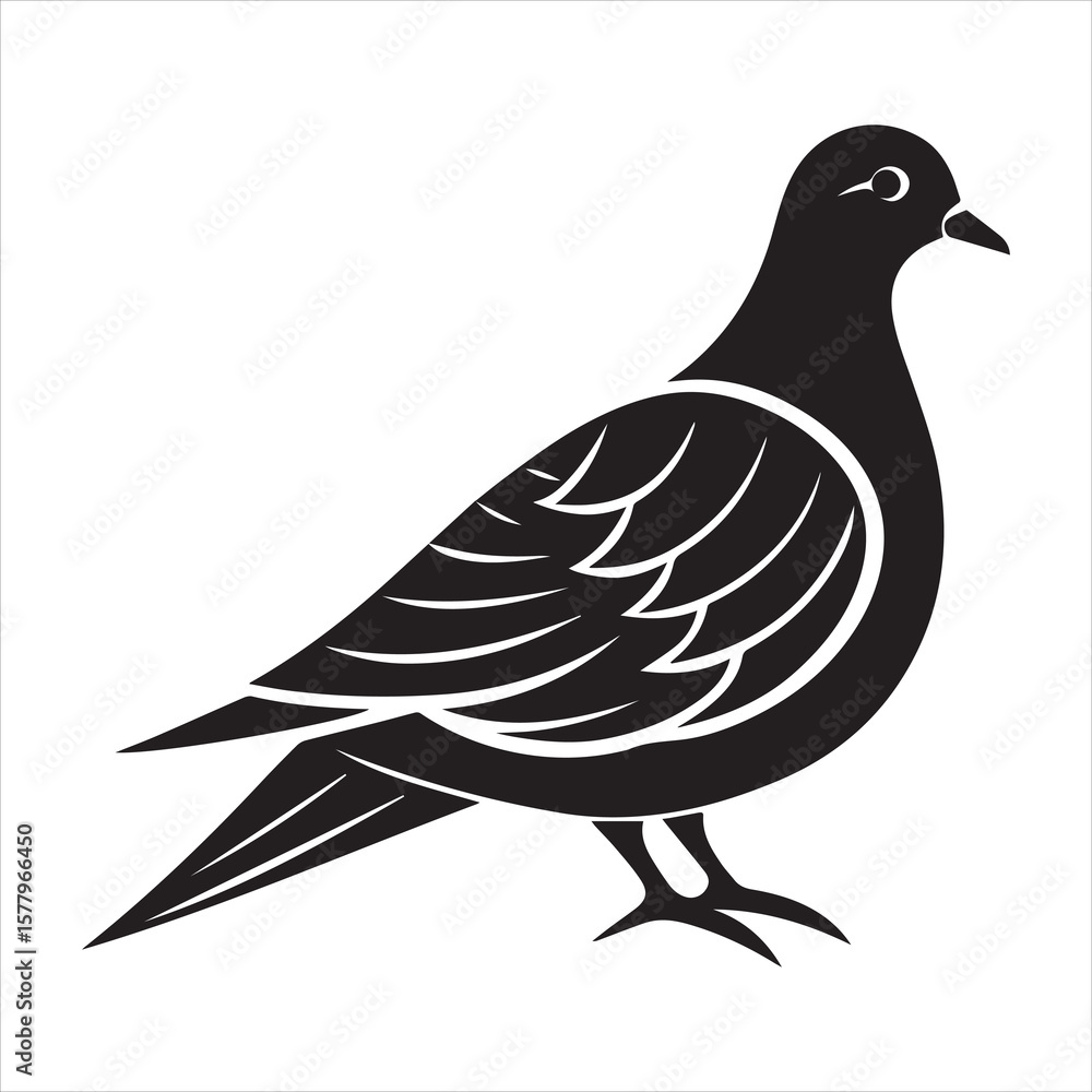 Obraz premium mourning dove icon silhouette vector
