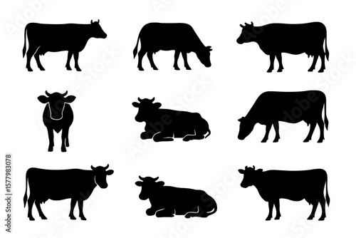 Cow silhouette vector set. Farm animal collection. Cattle, dairy, beef, livestock icons. Agriculture graphic element for logo design. Black shape isolated on white background.