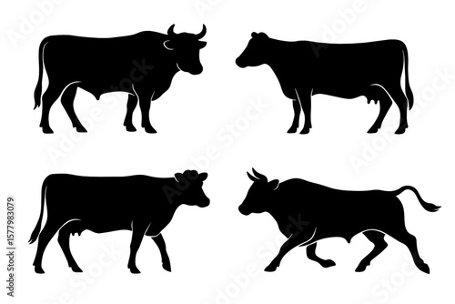 Set of 4 Cow and Bull Silhouettes Vector. Diverse Cattle Breeds. Black Silhouette Livestock Collection for Farm, Ranch, Logo, Branding, Decal. Isolated on White Background.