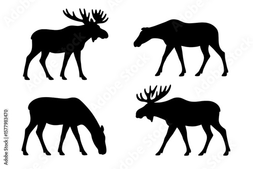 Moose Silhouette Vector Illustration – Wild Moose Standing, Walking, Grazing, Antlers, Male and Female, Wildlife Animal Shapes, Side Profile Outline, Nature Design