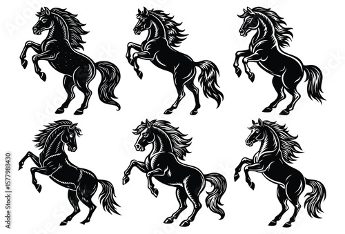 Fotografie Flat Color Horse Vector Set Cartoon Style Equestrian Collection.