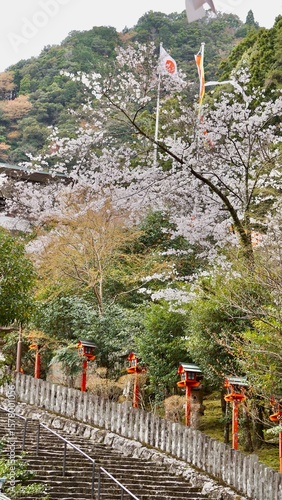 Stairs leading up to a Japanese shrine during cherry blossom spring season