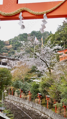 Stairs leading up to a Japanese shrine during cherry blossom spring season