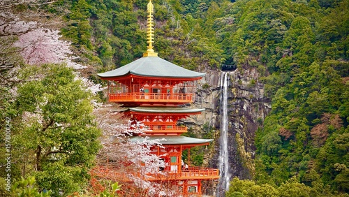 Amazing Red pagoda and waterfall in Japan during cherry blossom season, Kumano Nachi Taisha Shrine and Nachi Falls