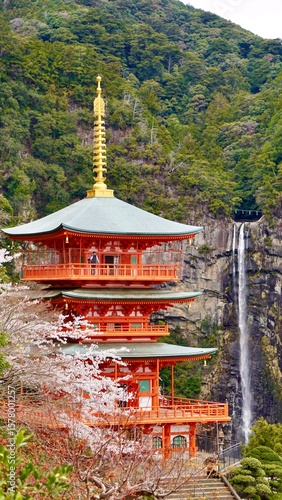 Amazing Red pagoda and waterfall in Japan during cherry blossom season, Kumano Nachi Taisha Shrine and Nachi Falls