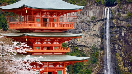 Amazing Red pagoda and waterfall in Japan during cherry blossom season, Kumano Nachi Taisha Shrine and Nachi Falls
