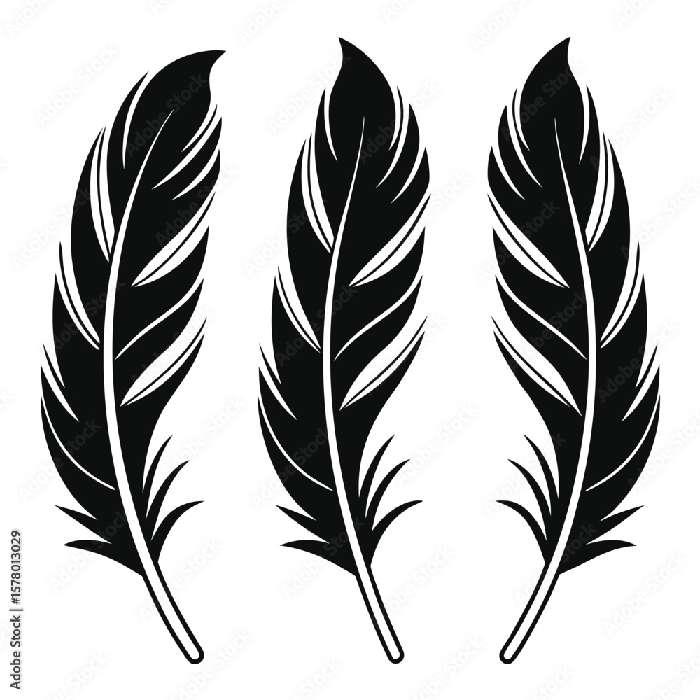 Obraz premium set of feathers