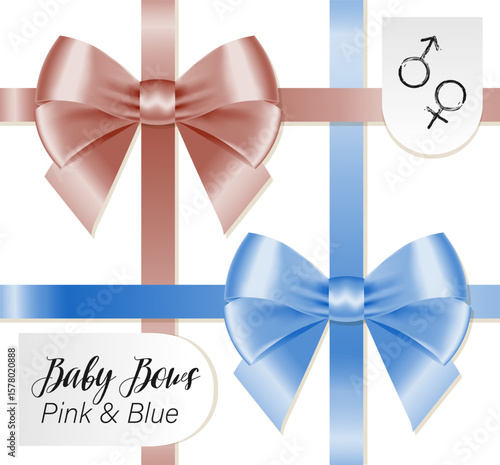 Pink and blue ribbons with bows, realistic vector illustrations. Cute gift decorations for birthday and baby shower cards and invitations