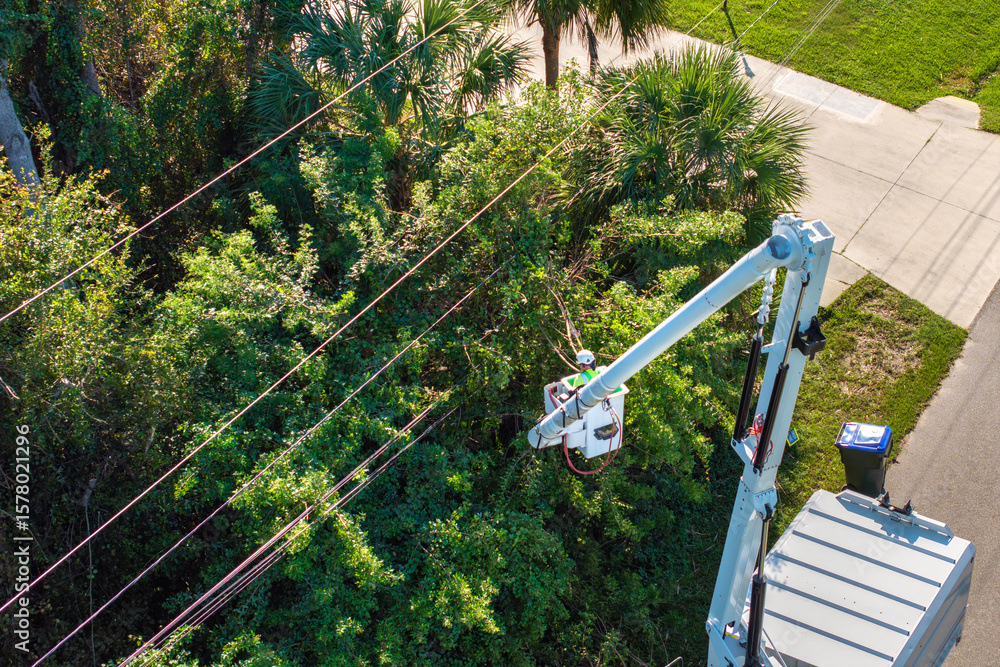 Aerial view of electrician utility worker trimming tree branches around power lines in Florida suburban area Aerial view of electrician utility worker trimming tree branches around power lines in Florida suburban area