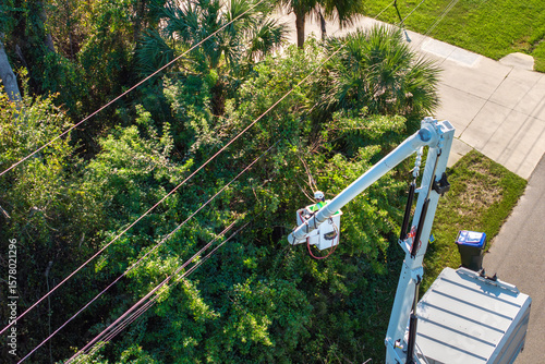 Εκτύπωση καμβά Aerial view of electrician utility worker trimming tree branches around power li