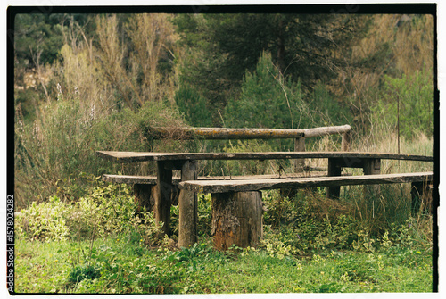 Mesa rústica de madera en medio del bosque