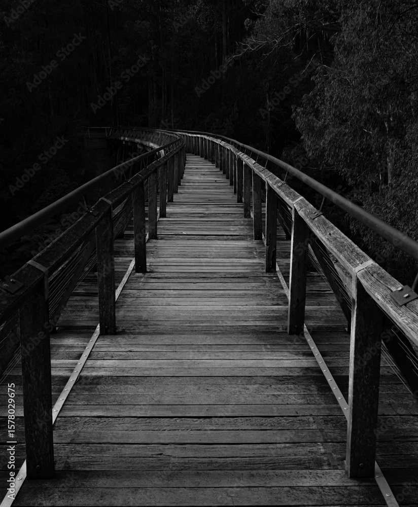 Obraz premium Forest bridge