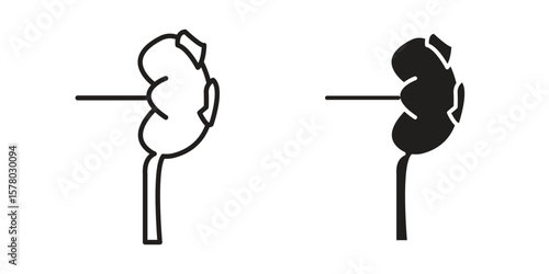 Kidney disease icon symbol set in black. line and flat icons