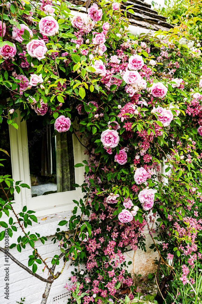 Fototapeta premium Window of writer Virginia Woolf’s room at Monk’s House, surrounded by pink roses, capturing the charm of this historic literary landmark in Lewes, England.