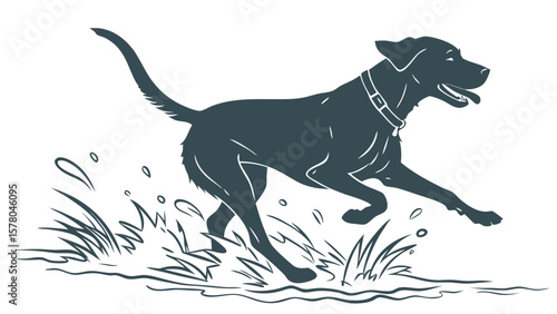 Playful Dog Splashing in Water – Pet Summer Silhouette for Prints & Decor
