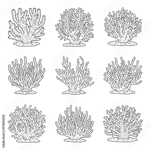Sea coral branches in black outline for marine themed design