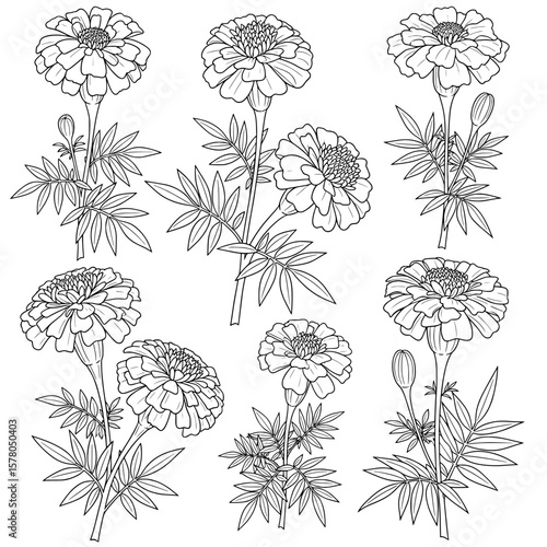 Stylish floral pattern with detailed motifs for fabric and decor