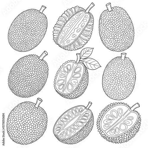 Set of whole and halved lychee fruits with leaves for food and health content